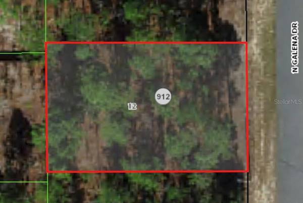 7802 N GALENA AVE, Citrus Springs, FL 34434