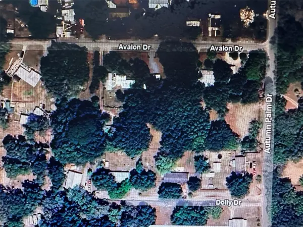 Address not disclosed, Zephyrhills, FL 33541