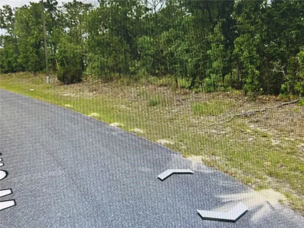 2466 W SWANSON DR, Citrus Springs, FL 34434