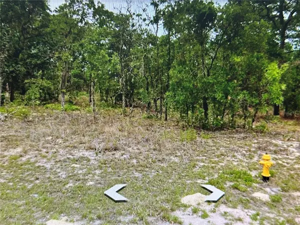 2466 W SWANSON DR, Citrus Springs, FL 34434