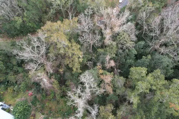 3-12-2N-4W-1100-0000B-009 STATION ST, Quincy, FL 32351