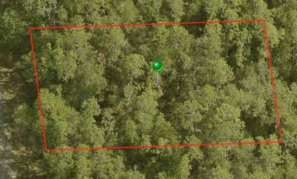 8759 N SAWYER TER, Dunnellon, FL 34434