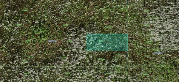 0 OLD GRADE RD, Polk City, FL 33868