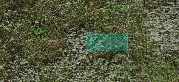 0 OLD GRADE RD, Polk City, FL 33868