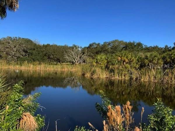 BOYD LN, Terra Ceia Island, FL 34250
