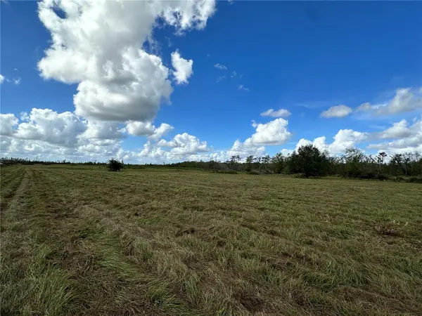 WAUCHULA RD, Myakka City, FL 34251