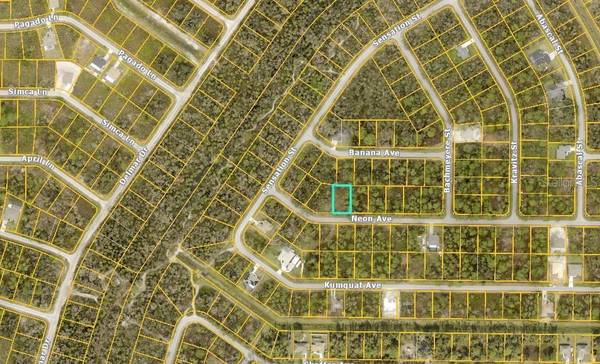NEON AVE, North Port, FL 34291