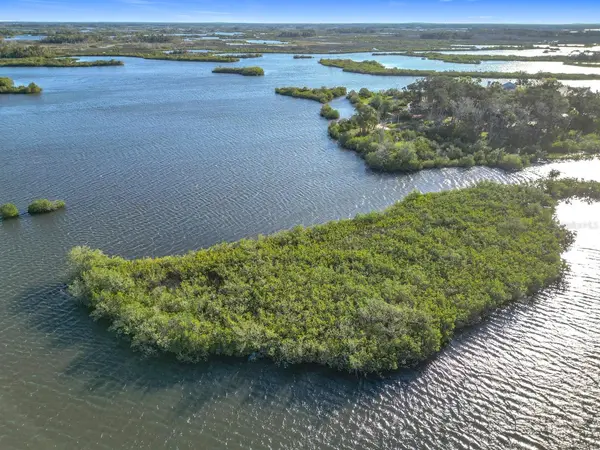 14101 W ST MARTINS RD, Crystal River, FL 34429