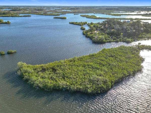 14101 W ST MARTINS RD, Crystal River, FL 34429