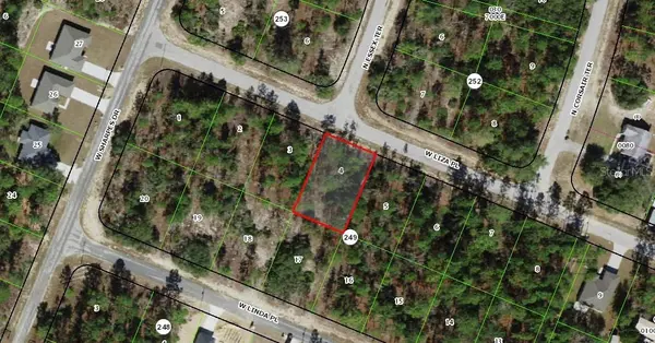 2984 W LIZA PL, Dunnellon, FL 34433