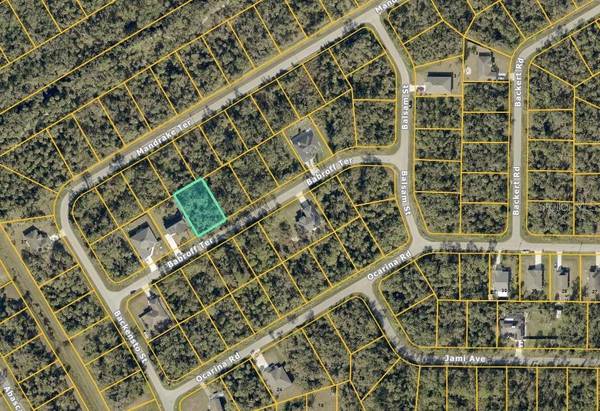 BABROFF TER, North Port, FL 34291