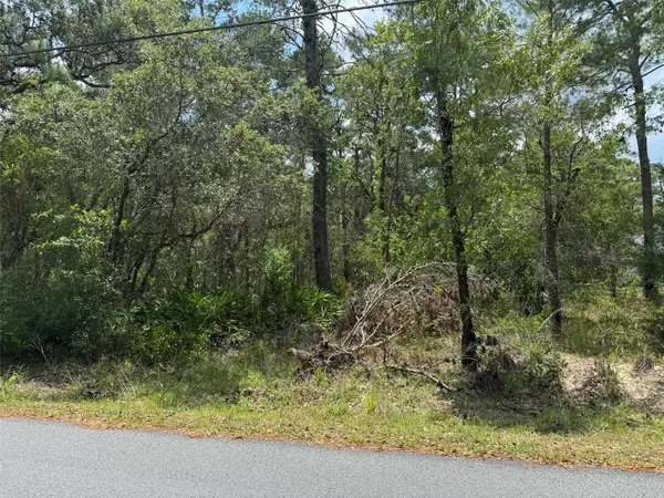 Lot 62 MICHIGAN AVE, Weeki Wachee, FL 34613