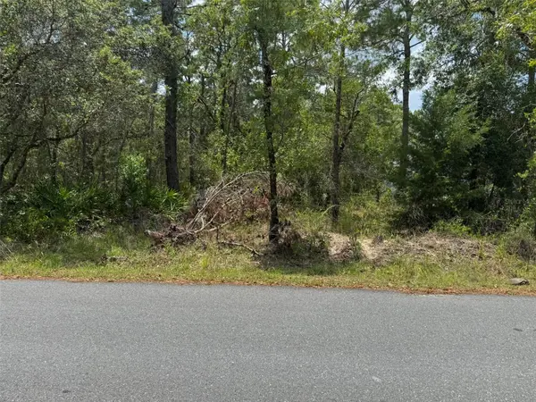 Lot 62 MICHIGAN AVE, Weeki Wachee, FL 34613