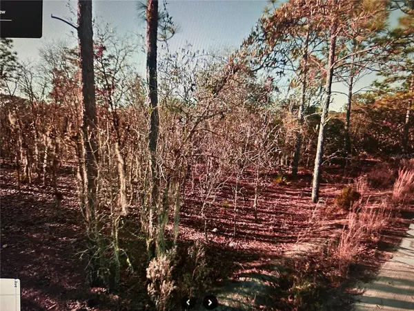TBD NE 97TH COURT, Bronson, FL 32621