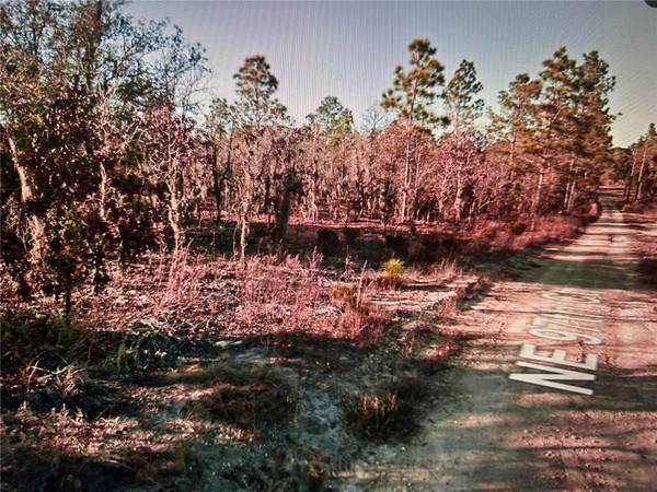 TBD NE 97TH COURT, Bronson, FL 32621