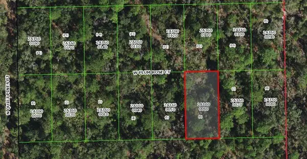 9782 W PLUM ROSE CT, Crystal River, FL 34429