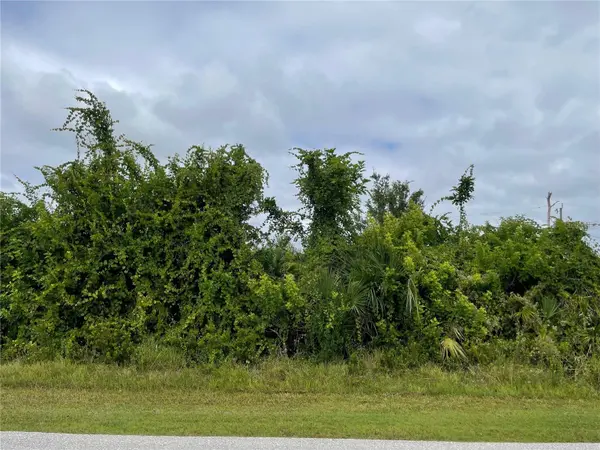 11216 CARNEGIE AVE, Englewood, FL 34224