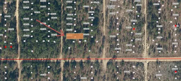Lot 36 PAXON, Interlachen, FL 32148