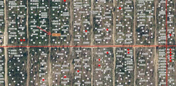 Lot 36 PAXON, Interlachen, FL 32148
