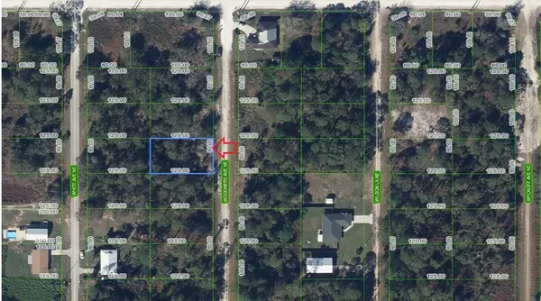 107 WOODMERE AVE NE, Lake Placid, FL 33852