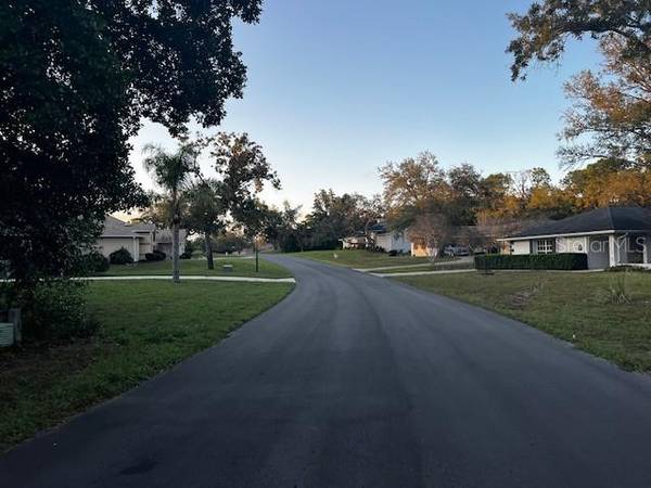 1 GRAYTWIG CT W, Homosassa, FL 34446