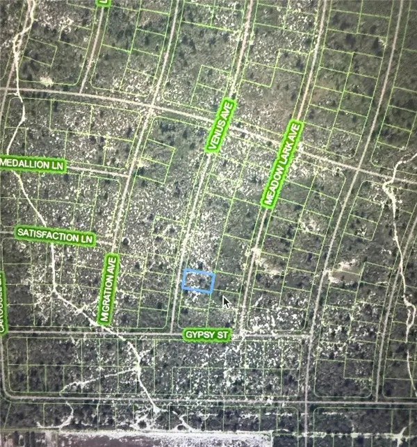 548 VENUS AVE, Lake Placid, FL 33852