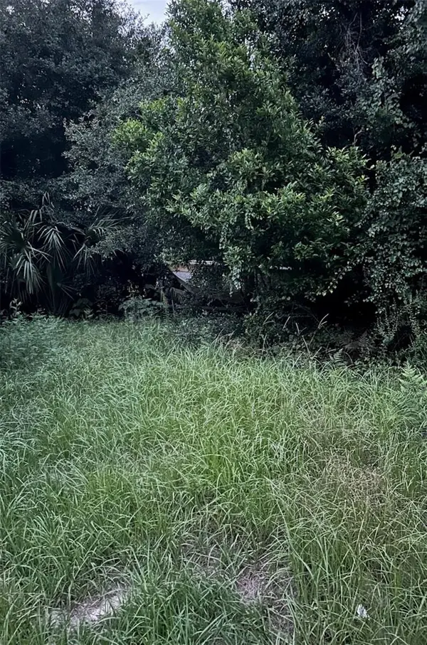 SE 135 LN, Umatilla, FL 32784