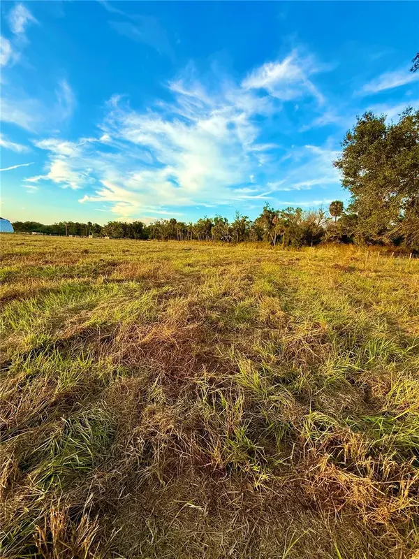 2902 SE PIGGYBACK RD, Arcadia, FL 34266