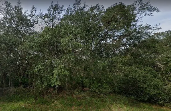 1402 PUNTA GORDA CT, Poinciana, FL 34759