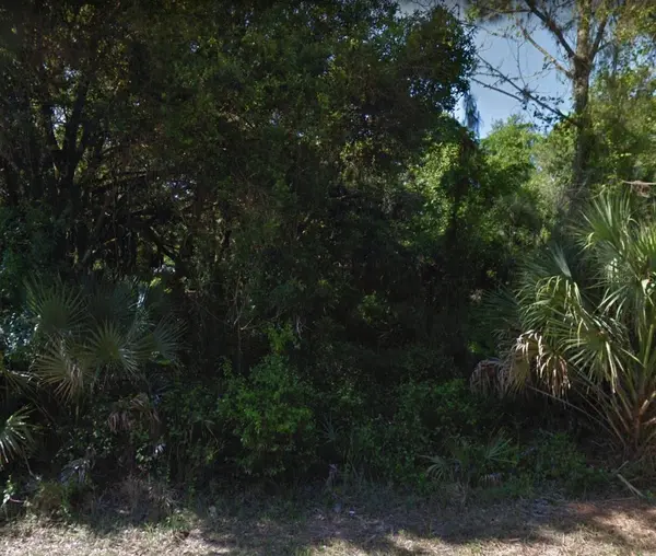 18113 LUSCAR AVE, Port Charlotte, FL 33954