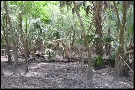 7019 CROOKED CREEK LN, Zolfo Springs, FL 33890