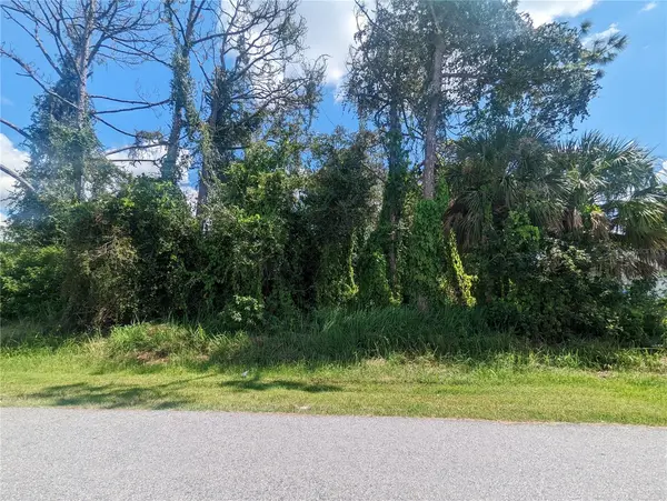13441 DRYSDALE AVE, Port Charlotte, FL 33981