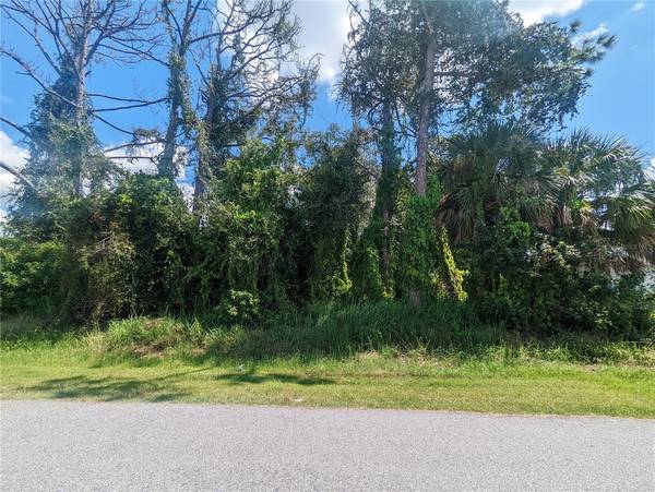 13441 DRYSDALE AVE, Port Charlotte, FL 33981