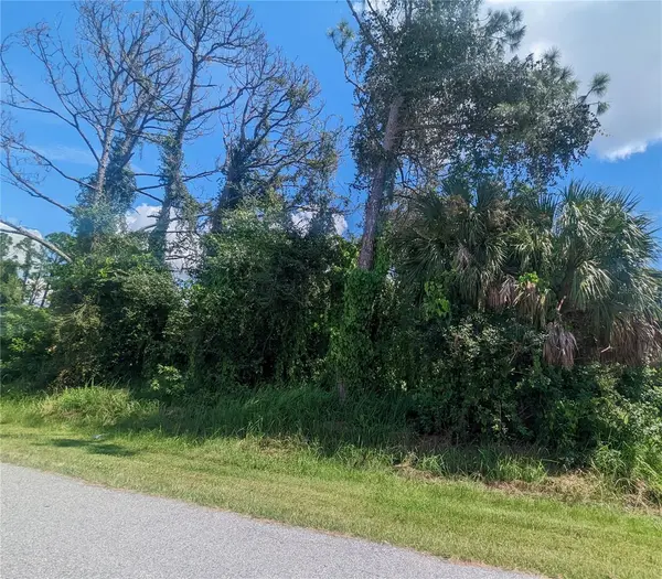 13441 DRYSDALE AVE, Port Charlotte, FL 33981