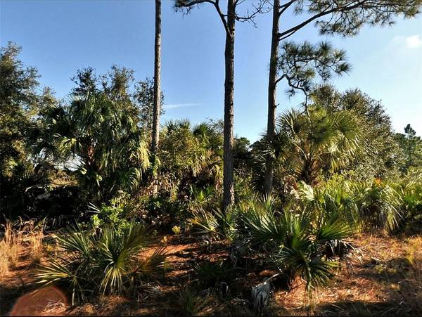 Lot 11 SHENO DR, North Port, FL 34288