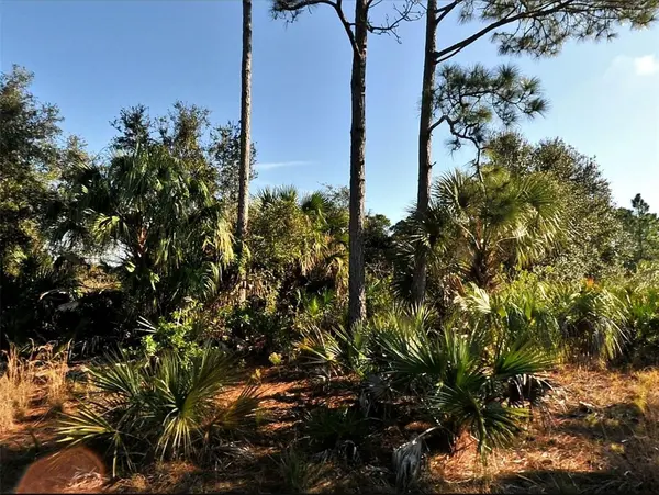 Lot 3 HAMBURG DR, North Port, FL 34288