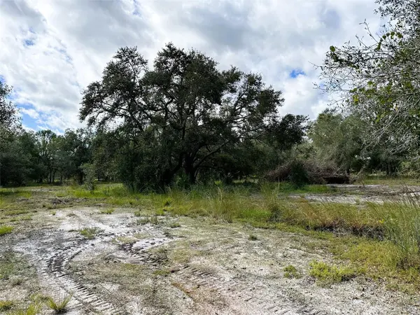 SE TOMLIN #2 DR, Arcadia, FL 34266