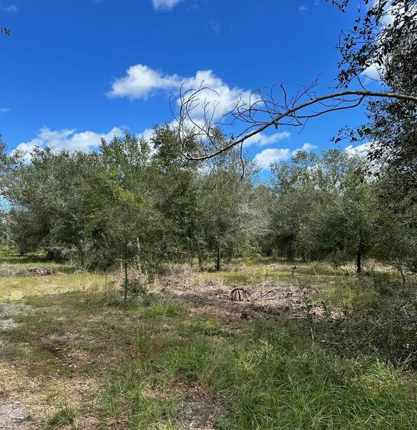 SE TOMLIN #2 DR, Arcadia, FL 34266