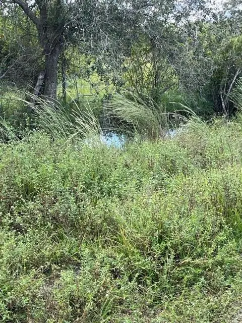 SE TOMLIN #3 DR, Arcadia, FL 34266