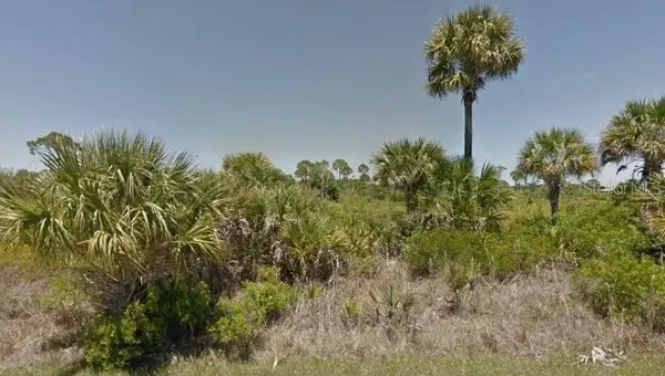 335 REDINGTON AVE, Port Charlotte, FL 33953