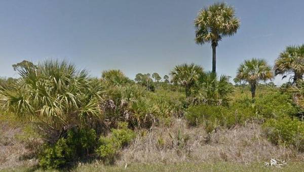 335 REDINGTON AVE, Port Charlotte, FL 33953