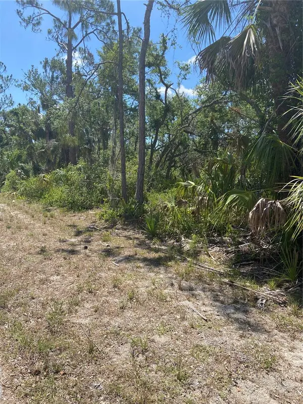17115 HEMLOCK AVE, Port Charlotte, FL 33948