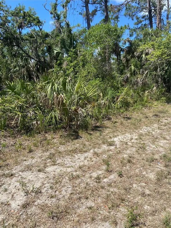 17115 HEMLOCK AVE, Port Charlotte, FL 33948