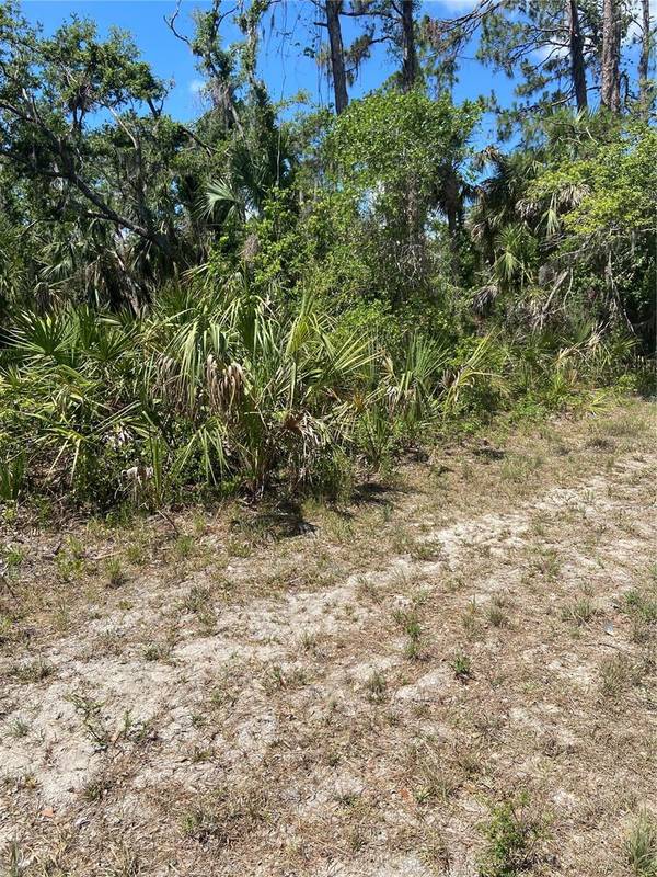 17115 HEMLOCK AVE, Port Charlotte, FL 33948