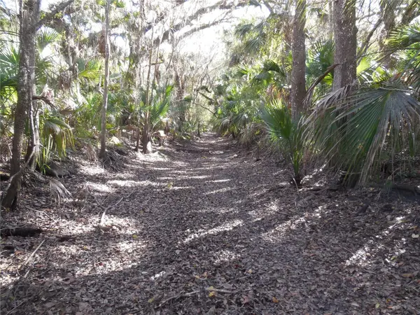 152 TALL OAK TRL, Zolfo Springs, FL 33890