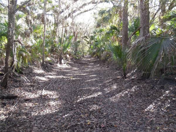 152 TALL OAK TRL, Zolfo Springs, FL 33890
