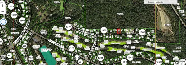 271 W ERIDANI CT, Citrus Springs, FL 34434