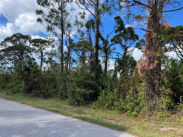 12438 DEEPWOODS AVE, Port Charlotte, FL 33981