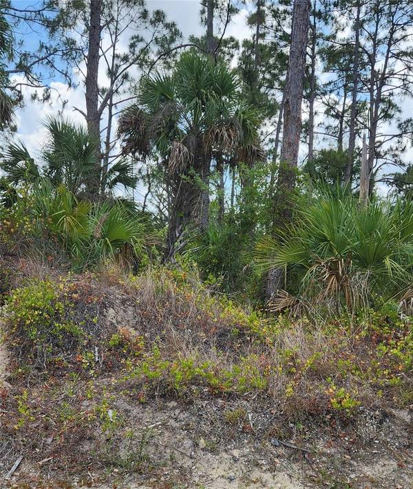 MCGINNIS TER, North Port, FL 34286