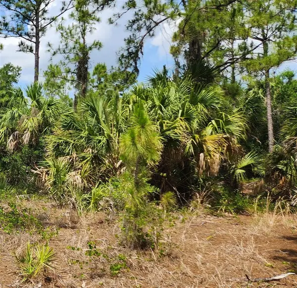 BASKET ST, North Port, FL 34288